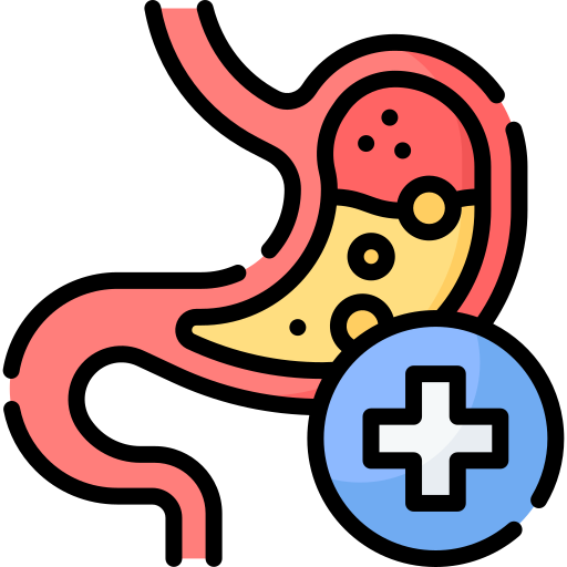 Digestive & Gut Health icon